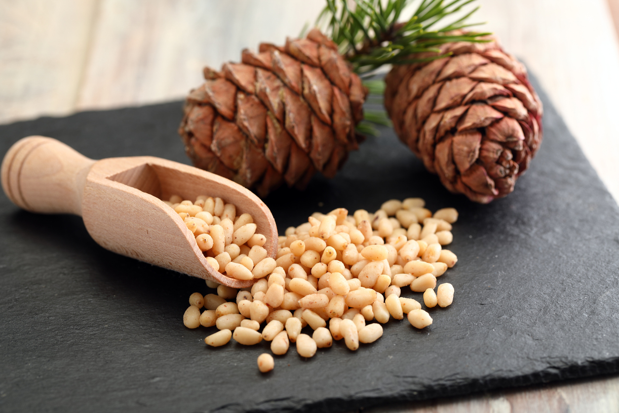 pine nuts with pine cones